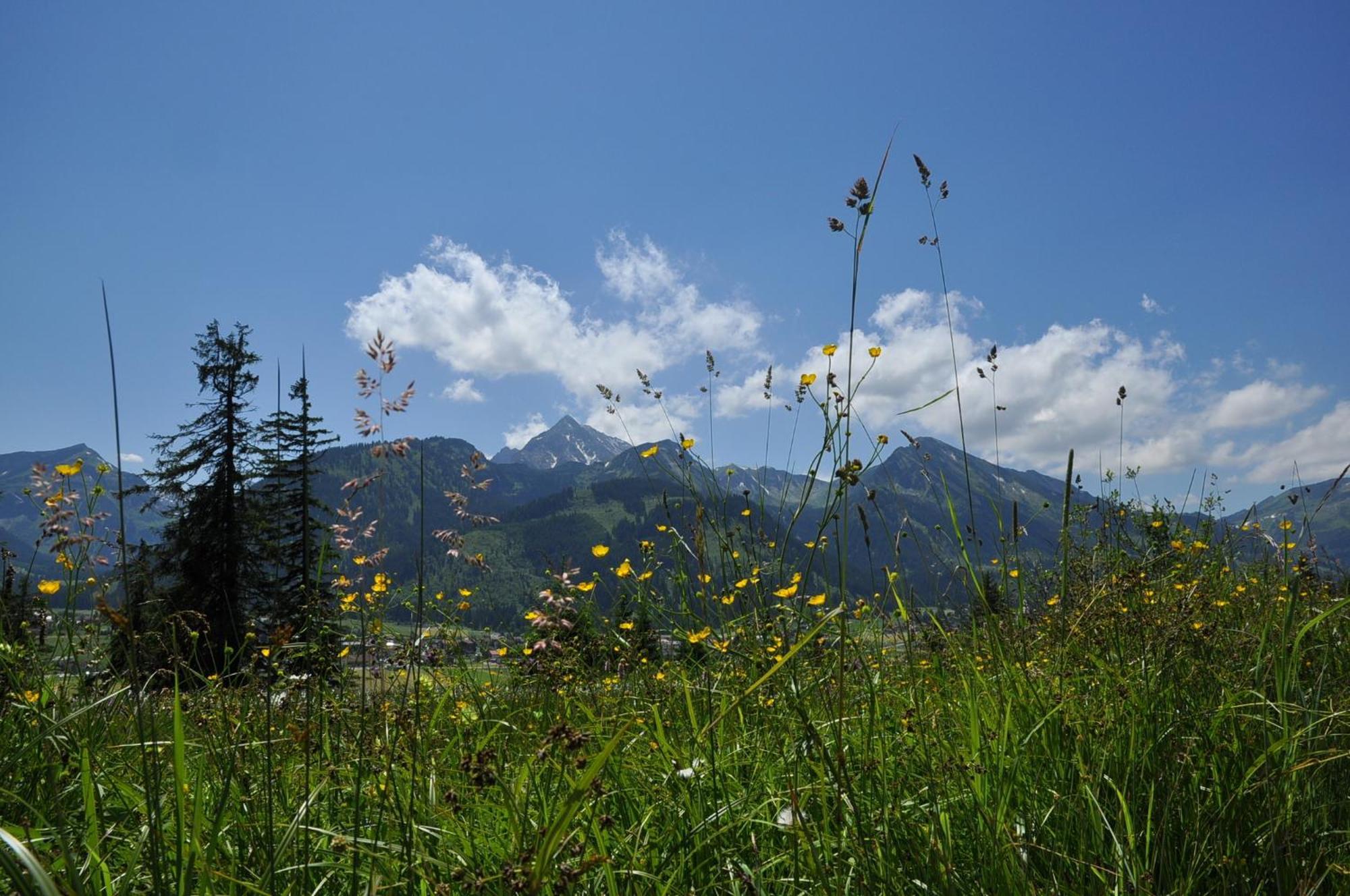 Landhaus Alpensonne Schattwald Buitenkant foto