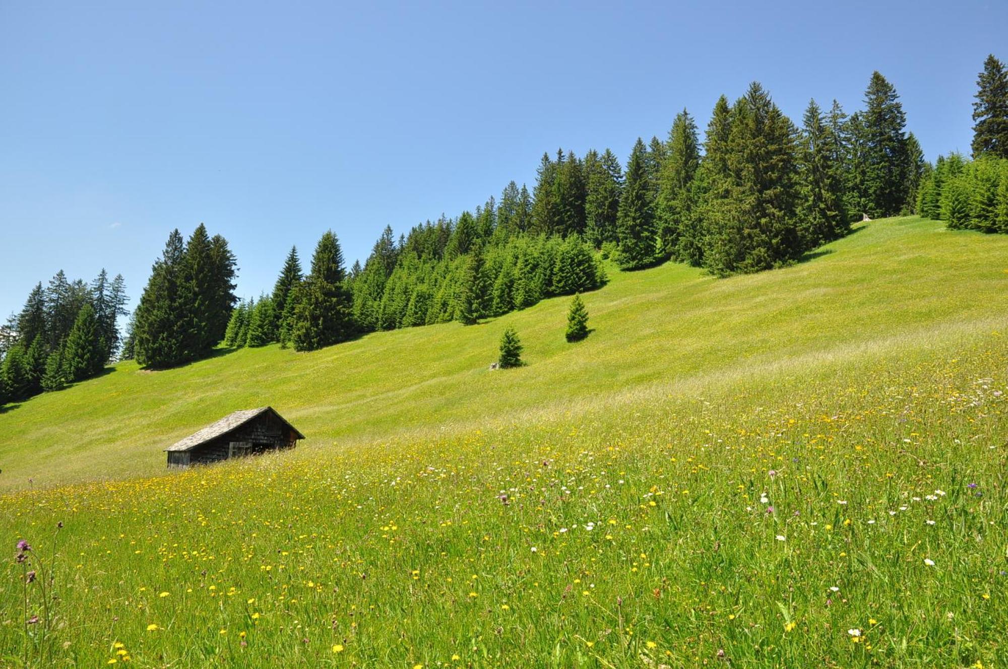 Landhaus Alpensonne Schattwald Buitenkant foto